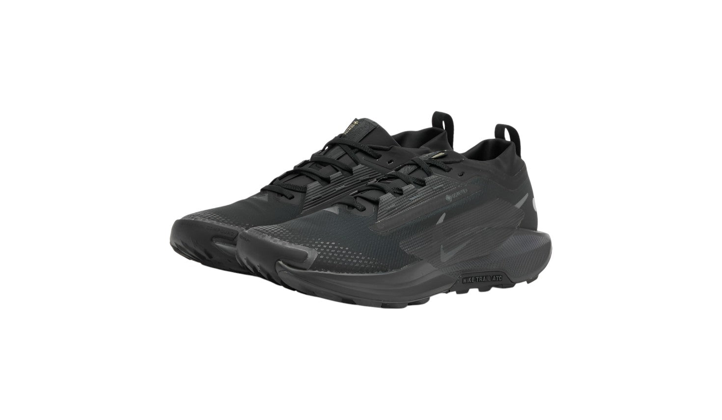 Nike Running Pegasus Trail 5 GORE-TEX