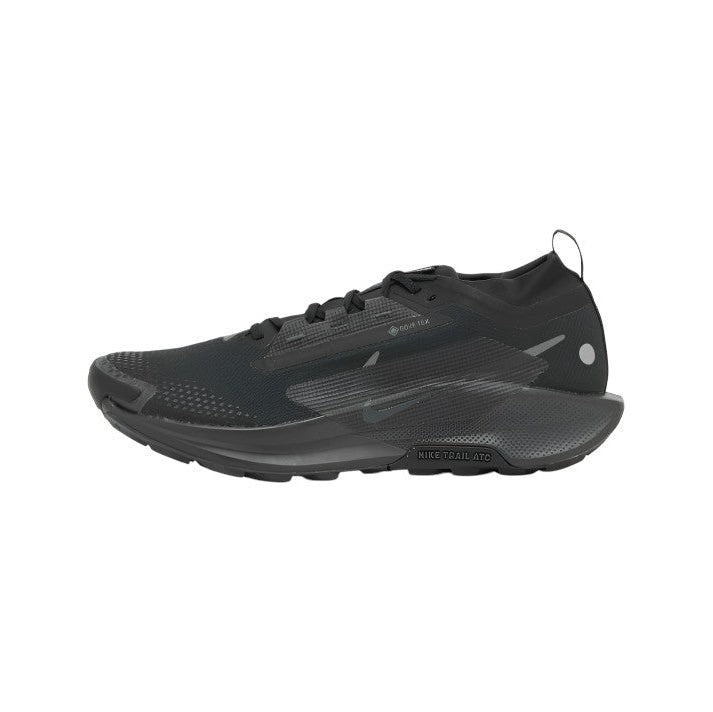 Nike Running Pegasus Trail 5 GORE-TEX