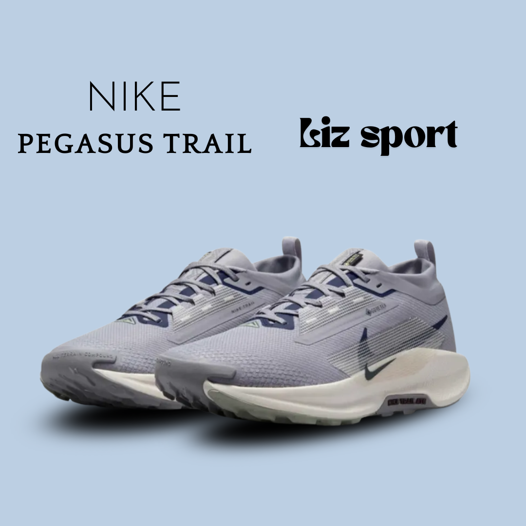 Nike Pegasus Trail 5 Gore-Tex