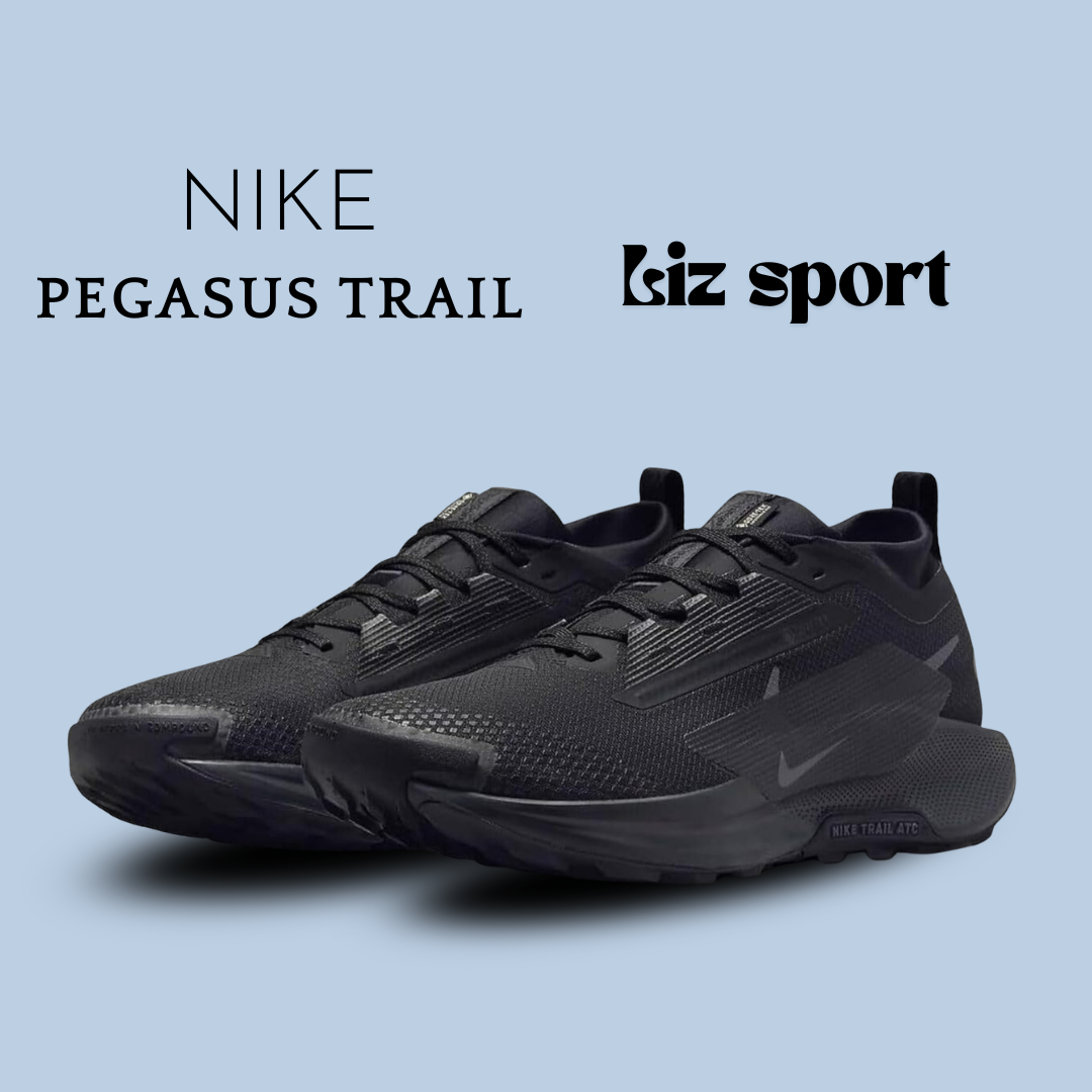 NIKE PEGASUS Trail 5 GORE-TEX Negro Antracita Negro