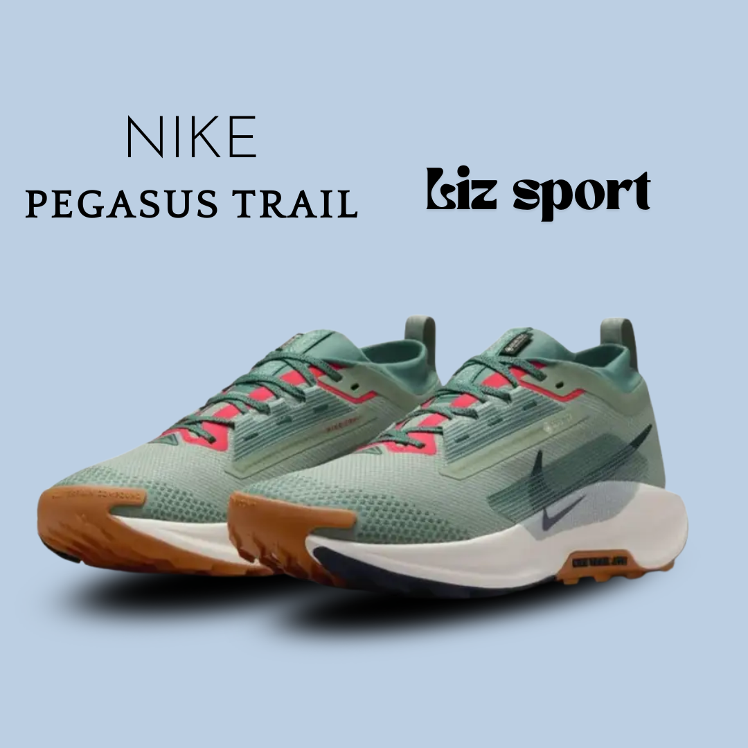 Nike Pegasus Trail 5  GORE-TEX