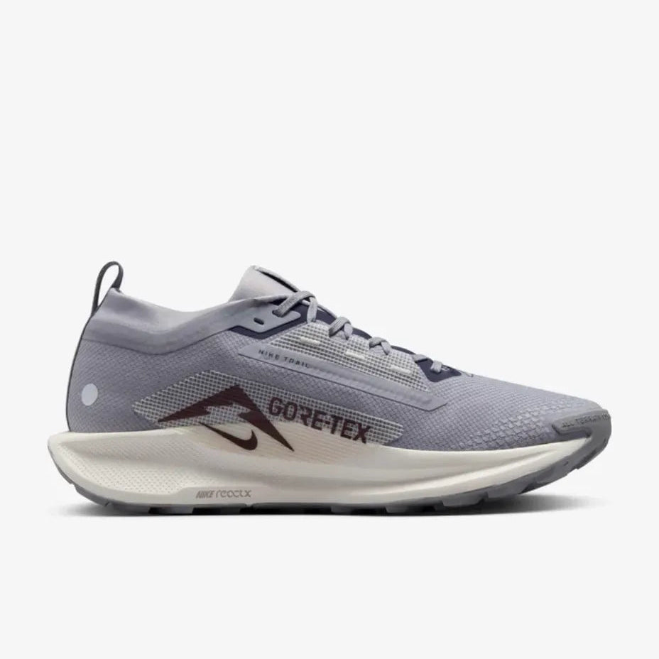 Nike Pegasus Trail 5 Gore-Tex
