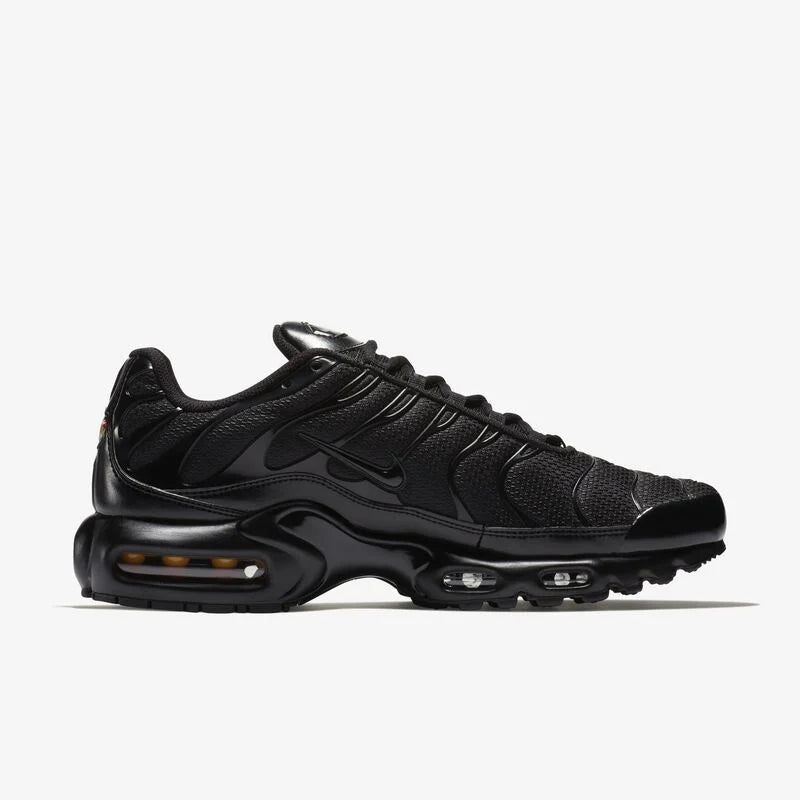 Nike air max plus TN