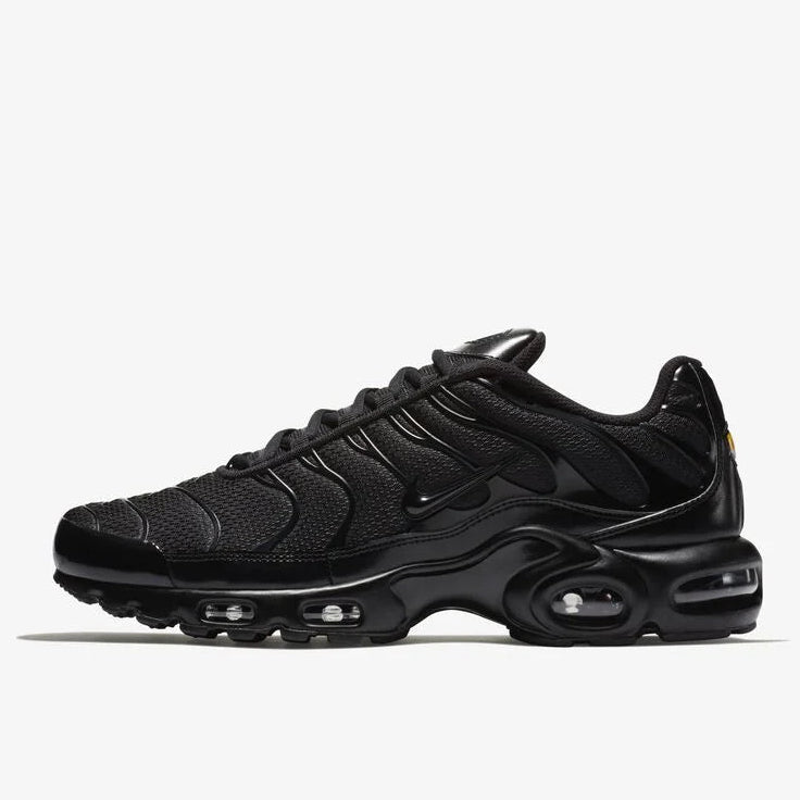 Nike air max plus TN