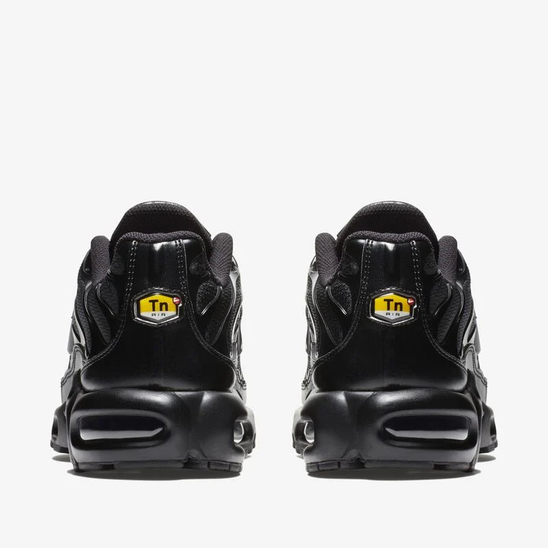 Nike air max plus TN